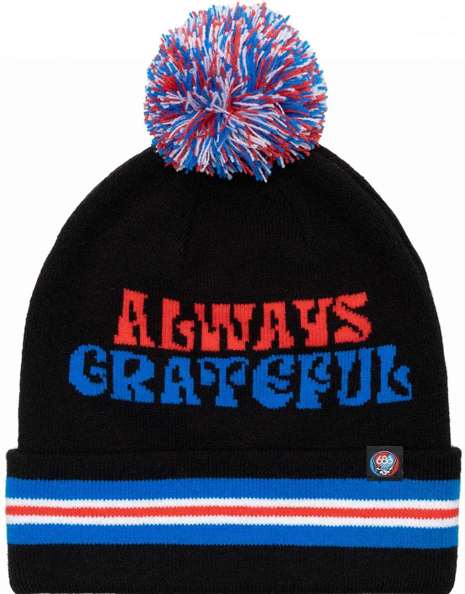 686 Grateful Dead Knit Beanie 2024