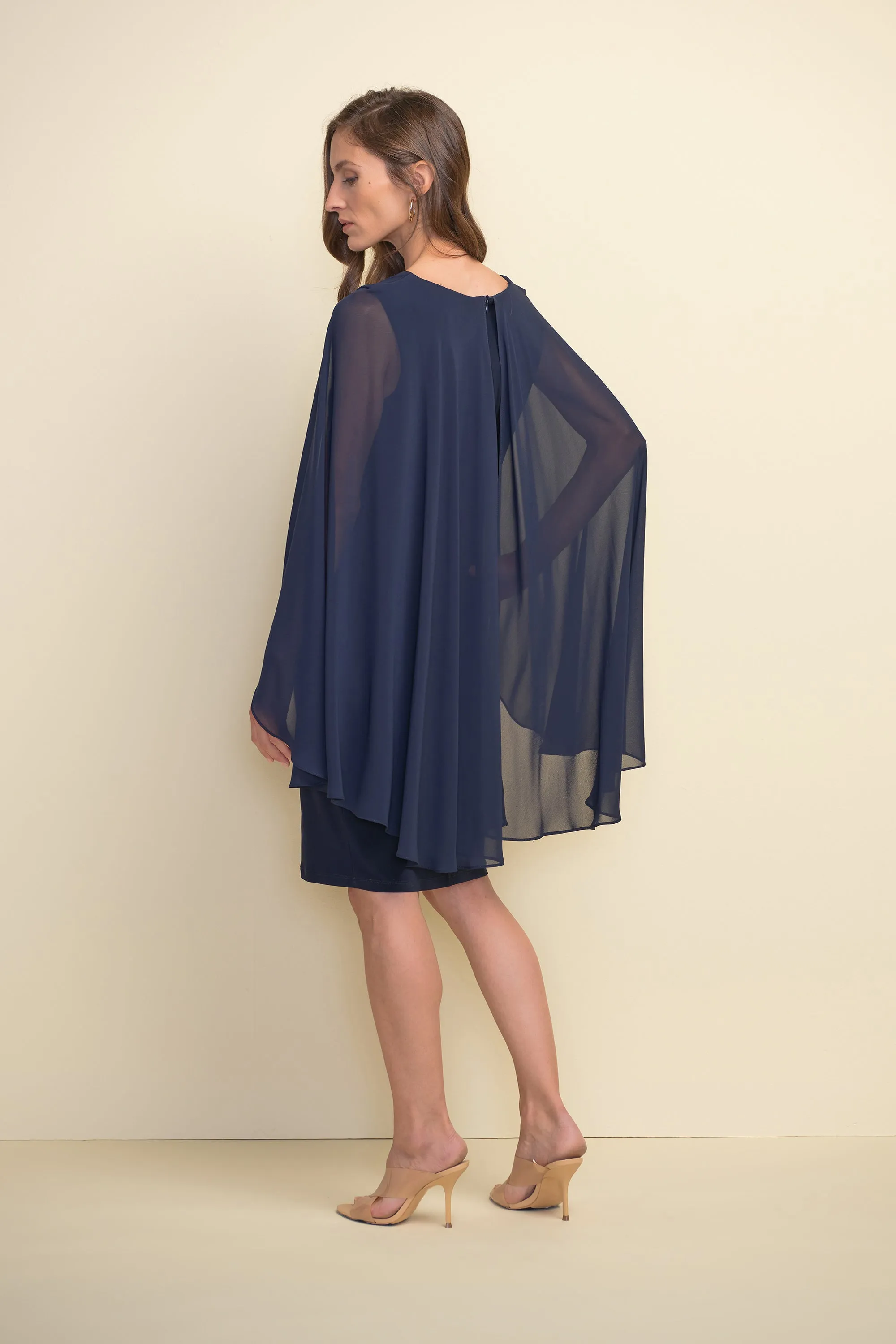 Chiffon Cape Dress