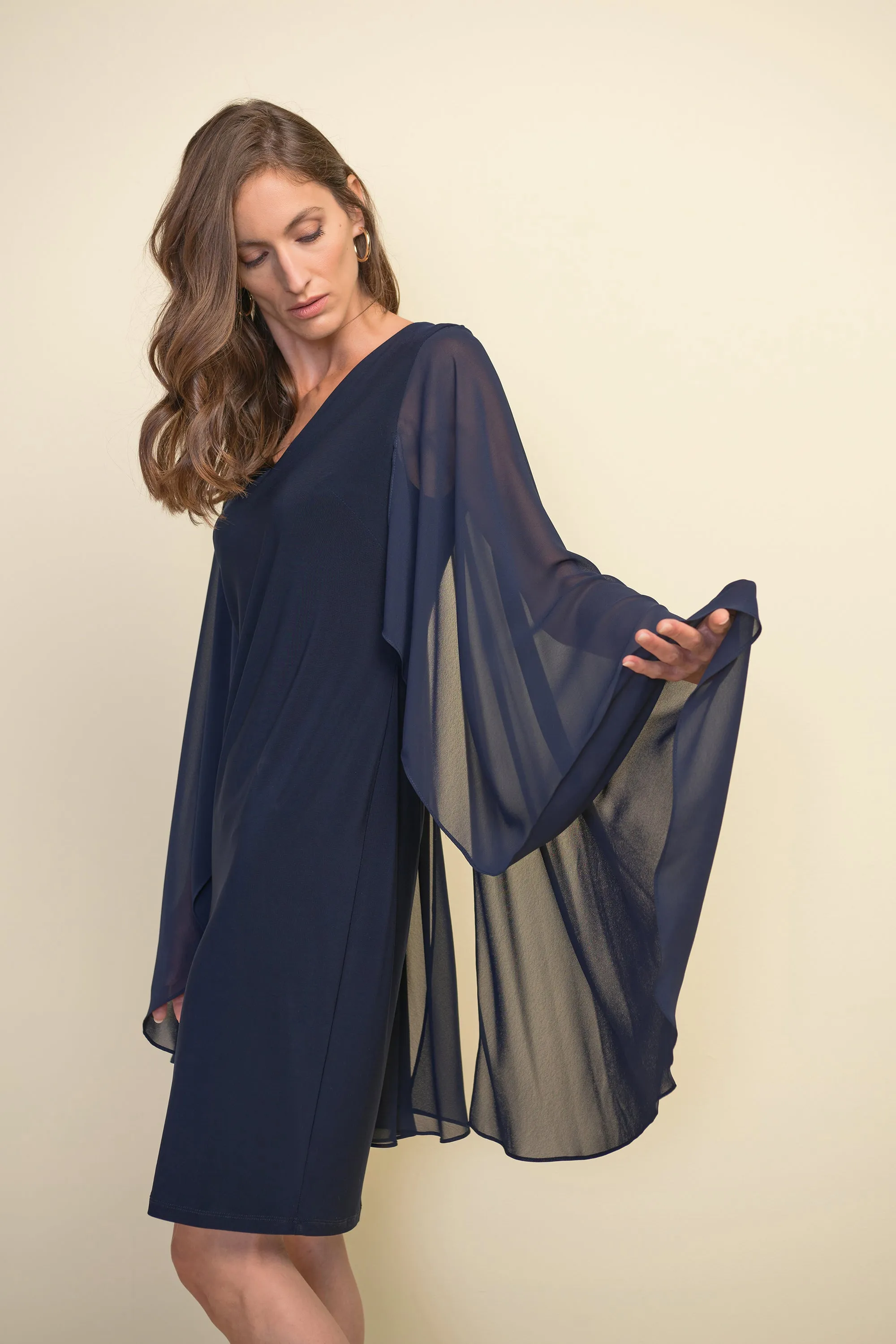 Chiffon Cape Dress